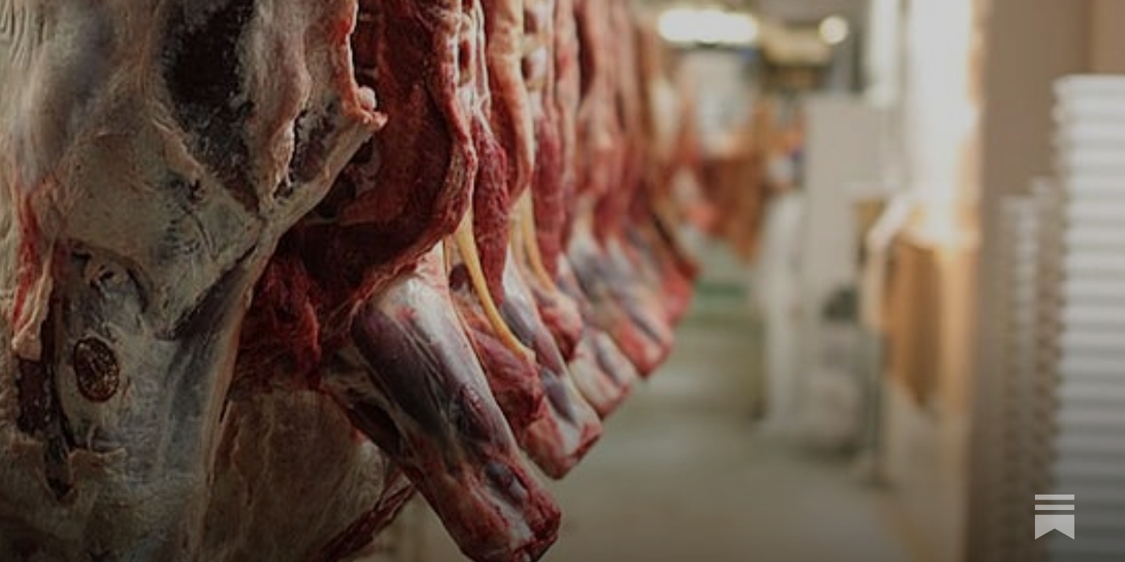 Amid Bird Flu Outbreak, Meat Producers Seek “Ventilation Shutdown” to  Mass-Suffocate Chickens