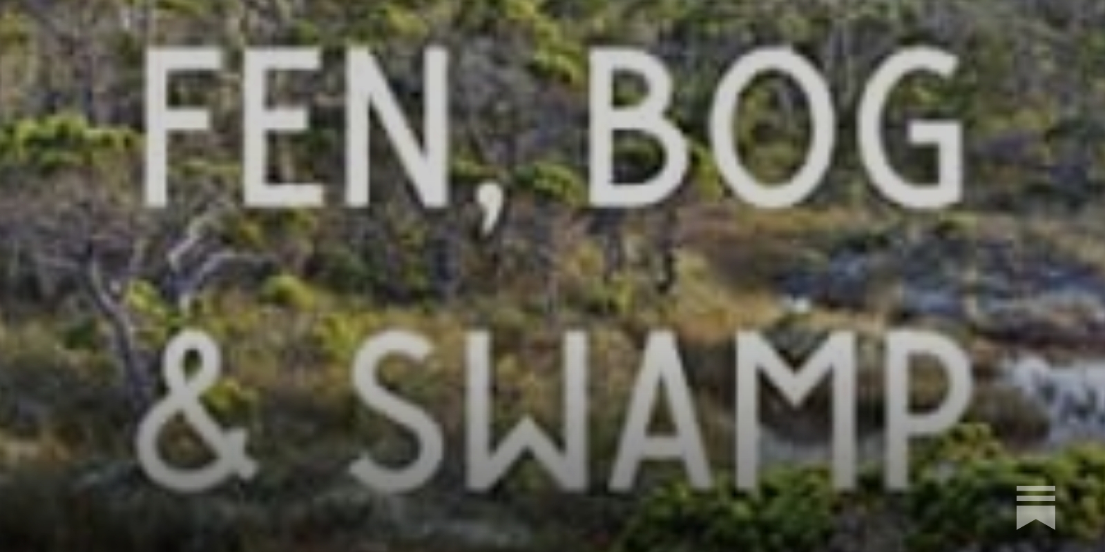 Fen, Bog & Swamp' explains the history of the wetlands : NPR's Book of the  Day : NPR