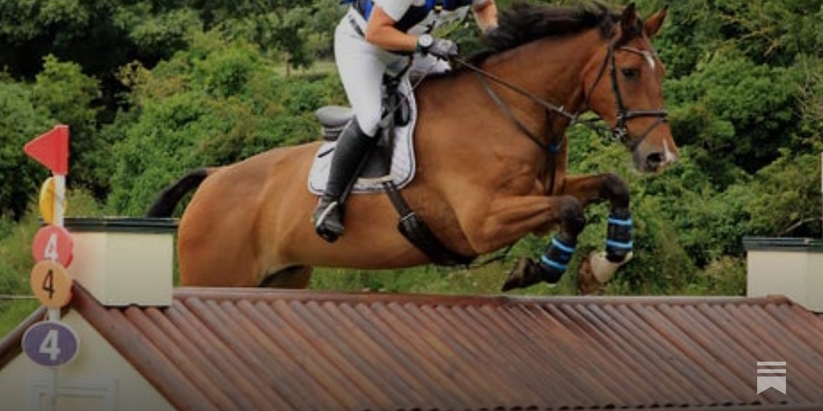 Super courses at fabulous Tullymurry event - Horse&Field