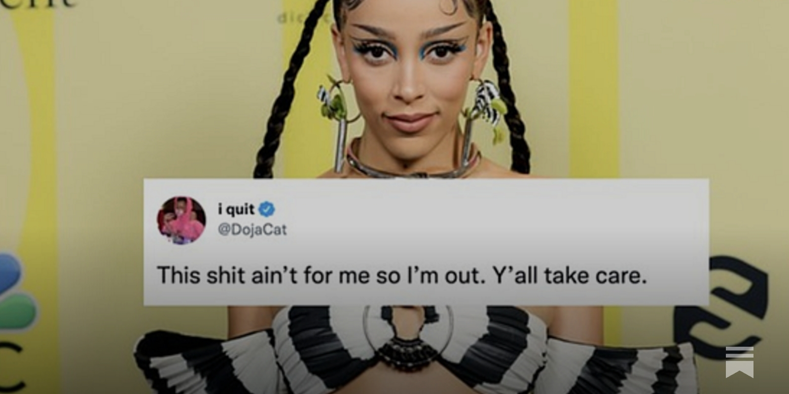 Professor, students reevaluate burnout after Doja Cat quits music - The  Daily Illini