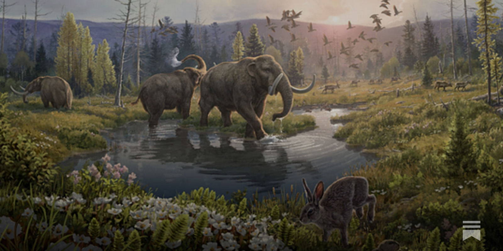 Pleistocene epoch: The last ice age