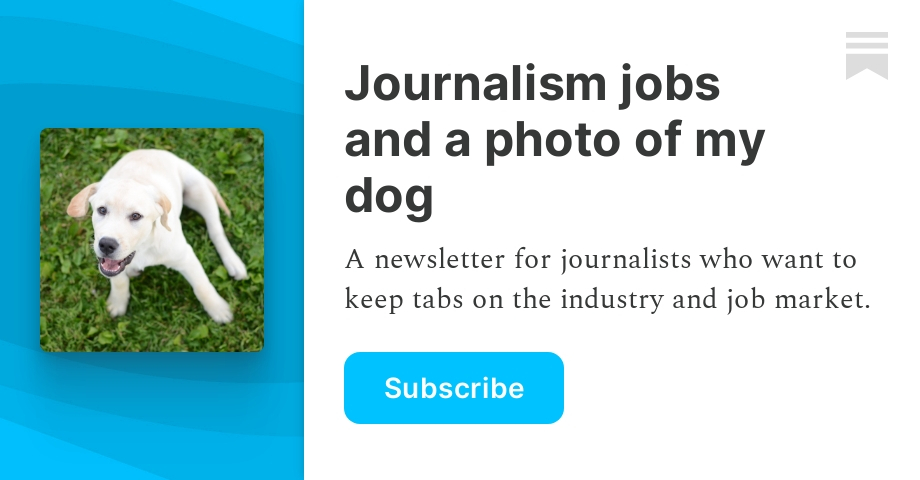 Journalism jobs and a photo of my dog | Mandy Hofmockel | Substack