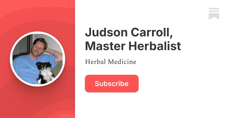 Medicinal Shrubs and Woody Vines: Lyonia and Manfreda virginica, Rattlesnake Master