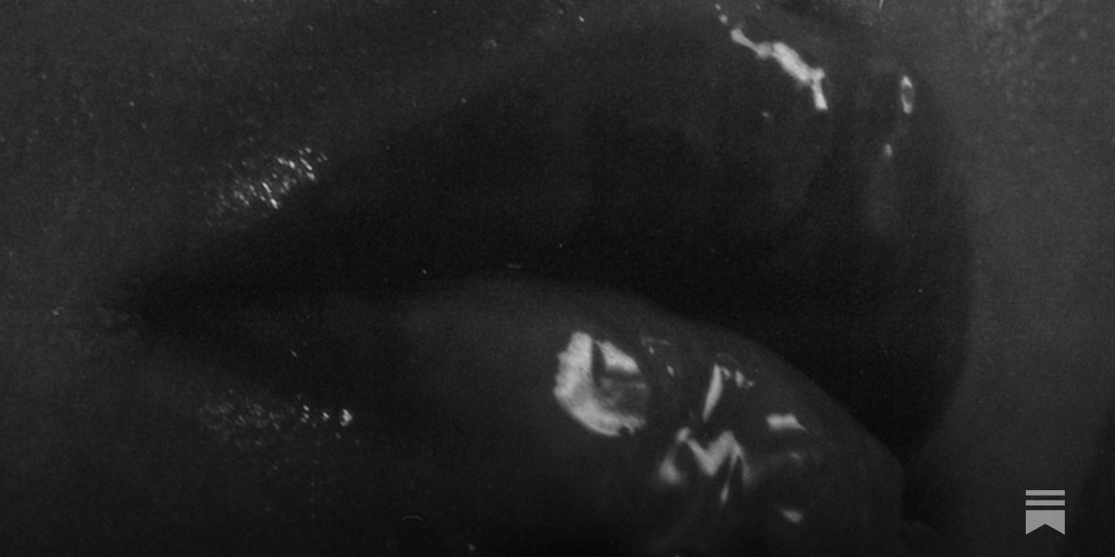 Arousal Quantified: 7 Trends Revealed via Pornhubs Data