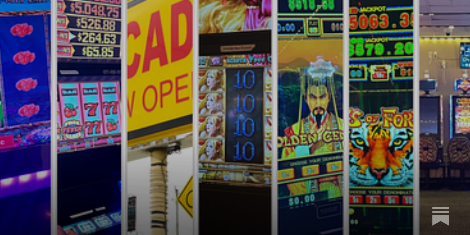 Inside the World of Adult Arcades - THE NEIGHBORLY FLORIDA