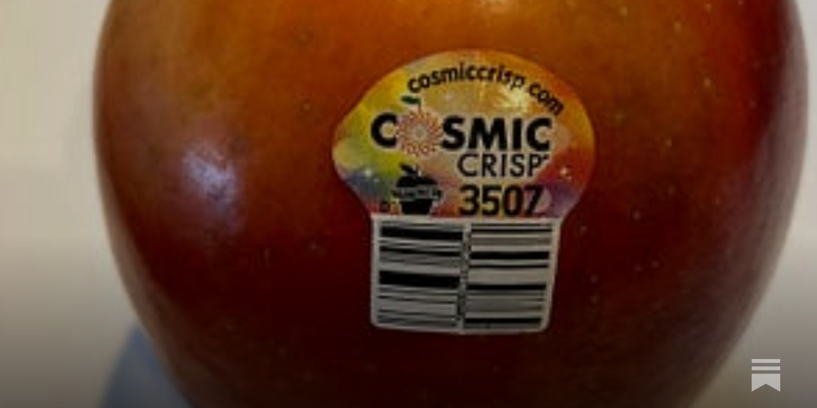 Cosmic Crisp vs. SugarBee smackdown - Adam's Apples