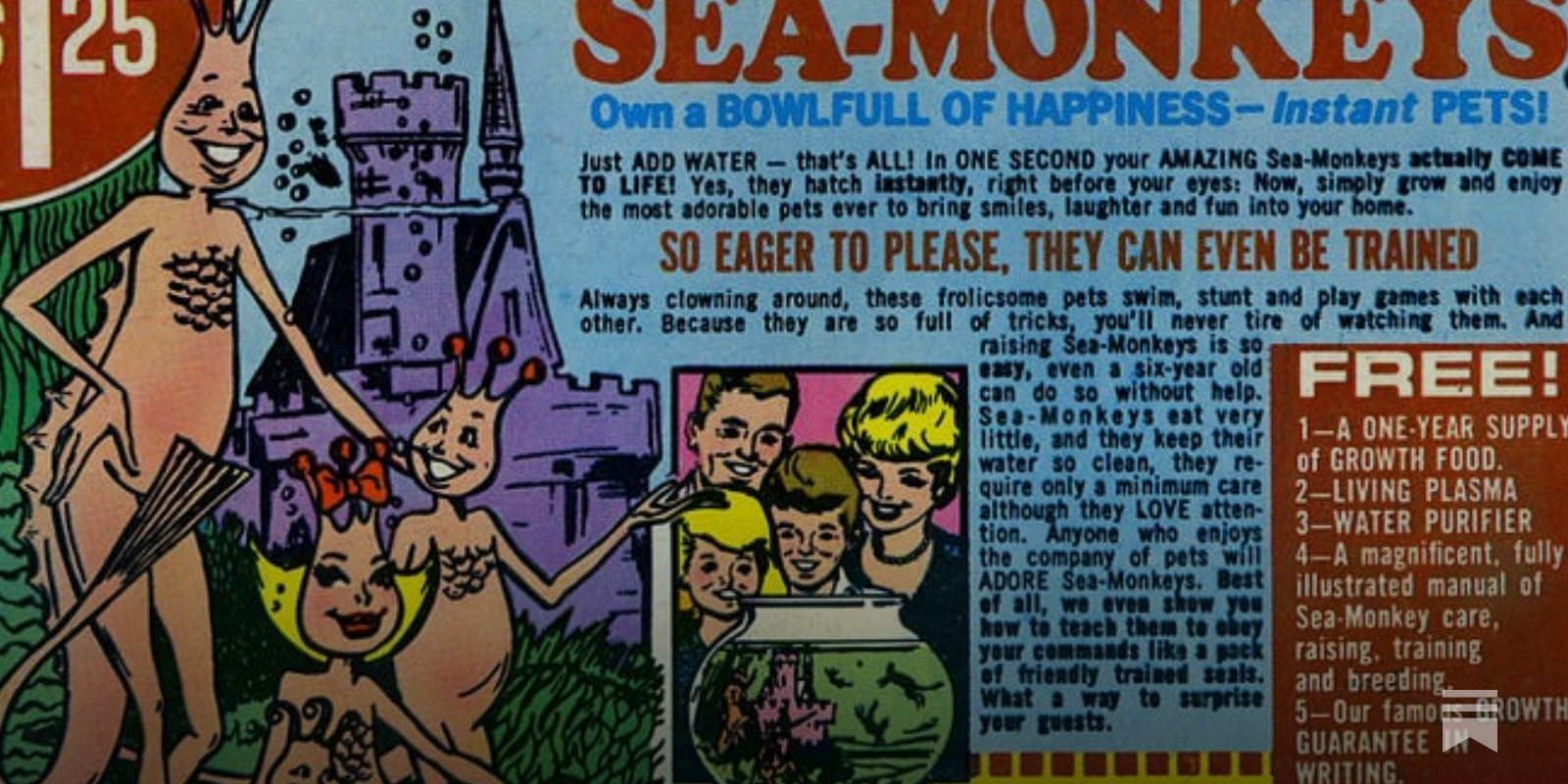 Sea Monkeys: False Advertising of Science Can Still be Fascinating!