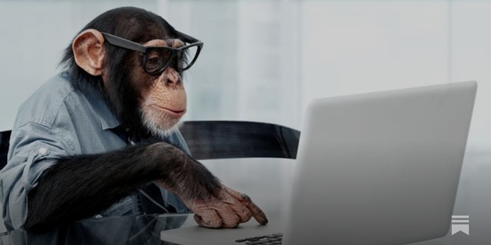 The monkeys that beat the market - Market Sentiment