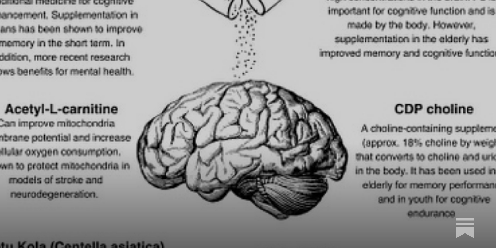 Anxiety and Memory Loss