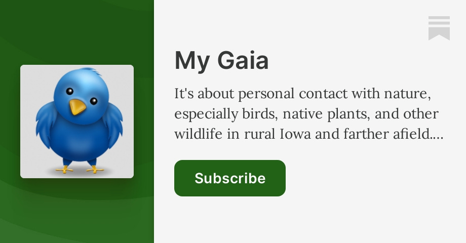 Birds, My Gaia, Diane Porter