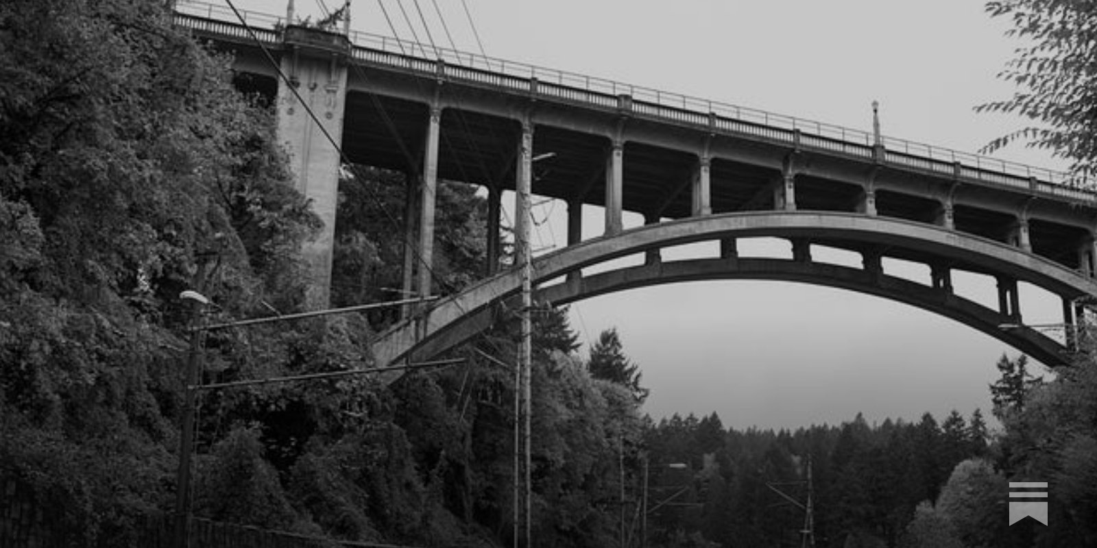 The View From Vista Bridge - by Christen McCurdy