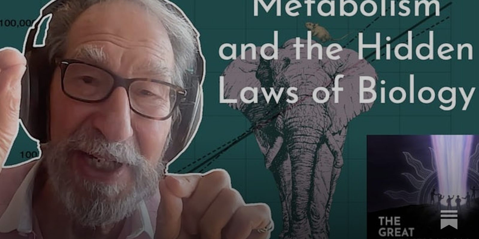 Metabolism and the Hidden Laws of Biology - by Nate Hagens