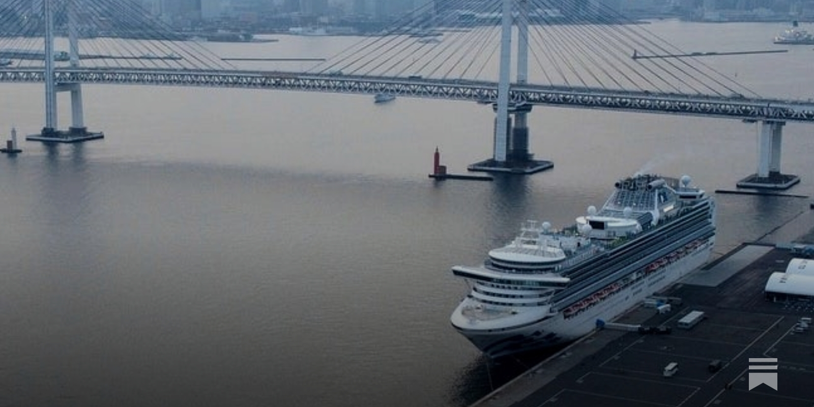 What the Diamond Princess tells us about NYC in Spring 2020