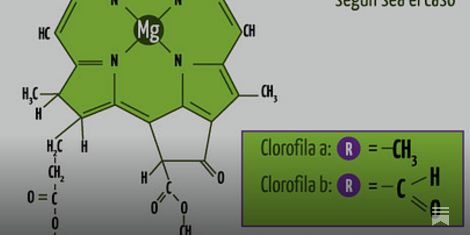 molécula de clorofila b