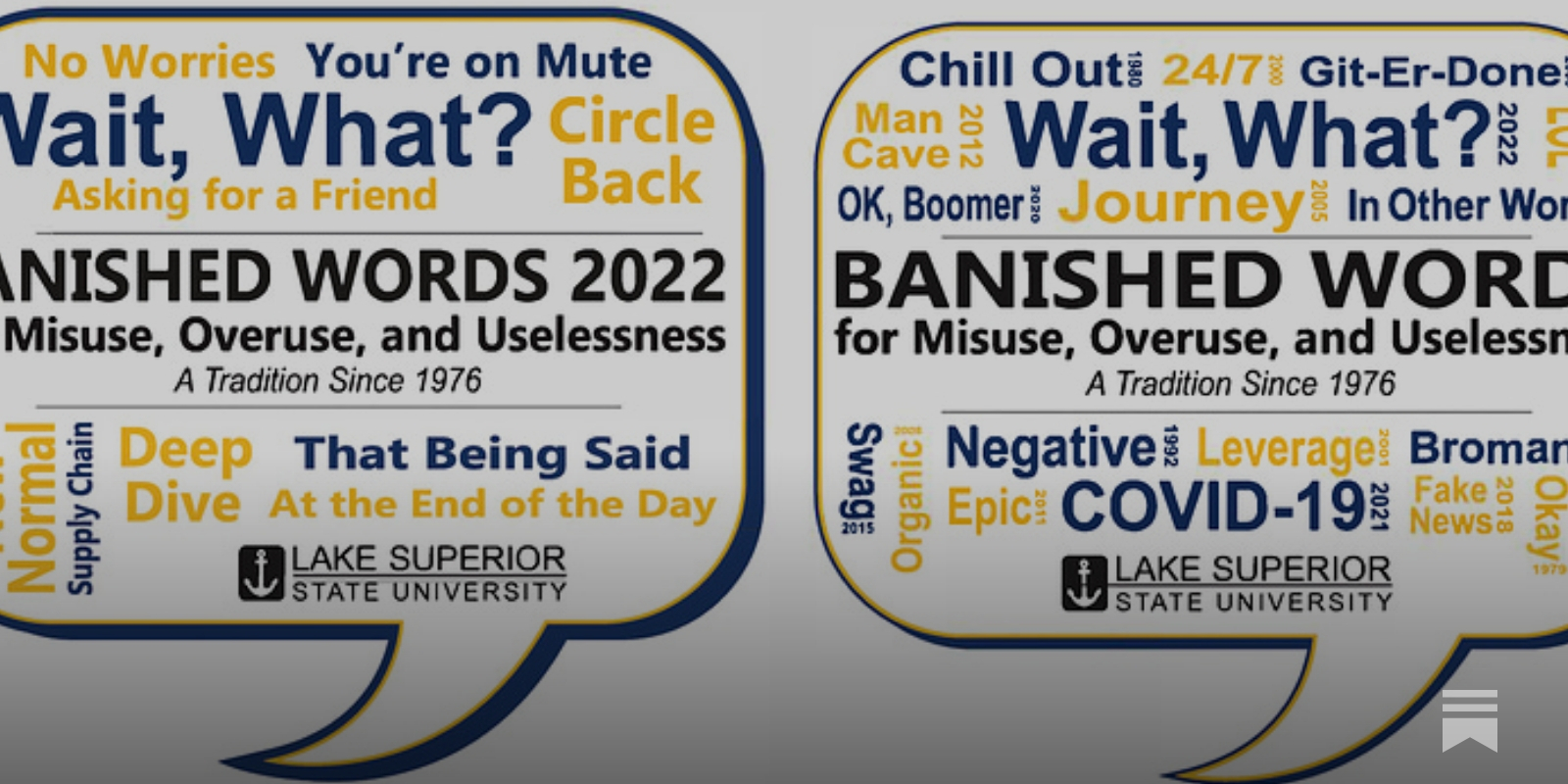 Banished Words Listed By Year 1976 - 2022