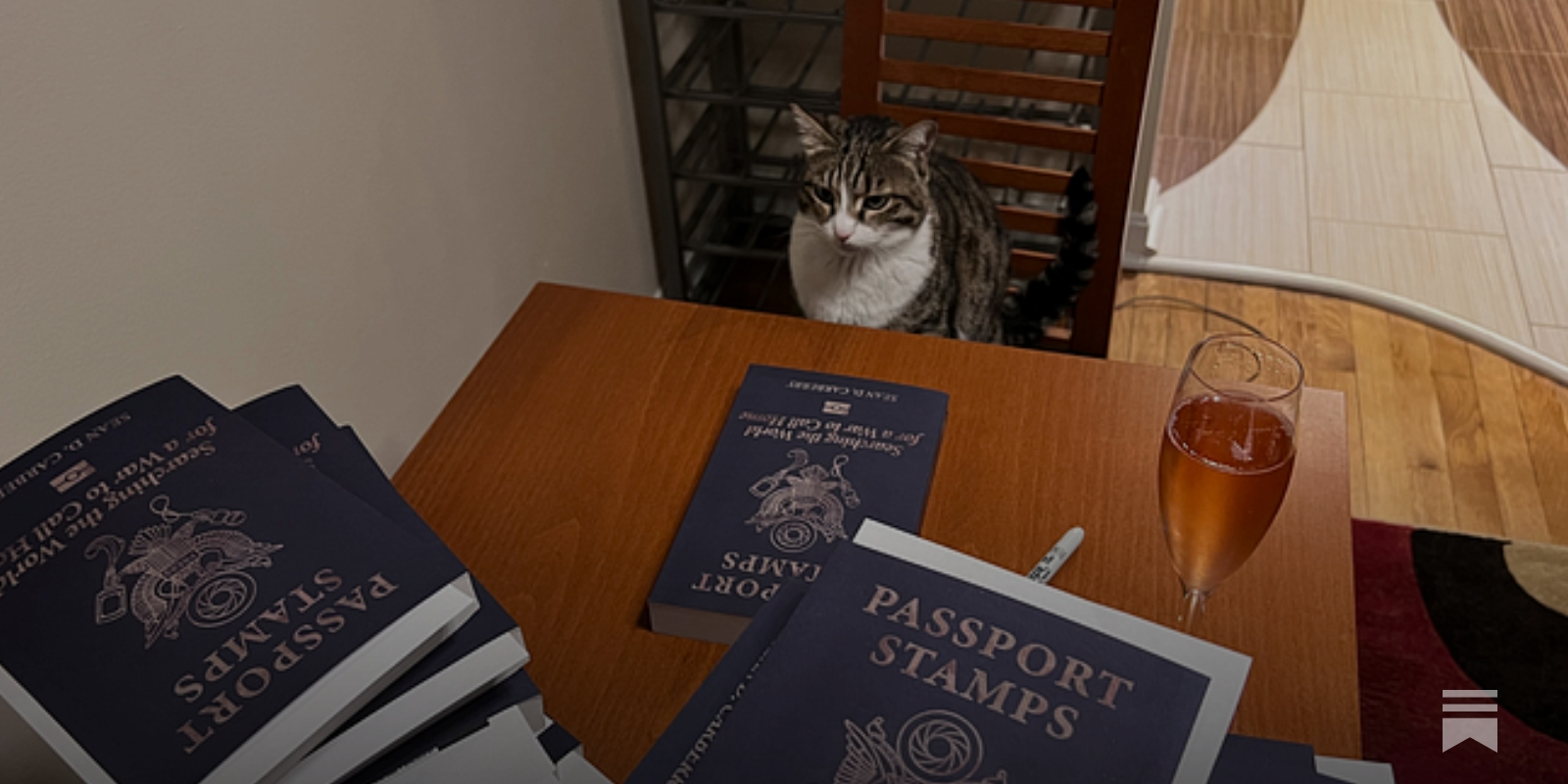 Give Passport Stamps for the Holidays - by Sean D. Carberry