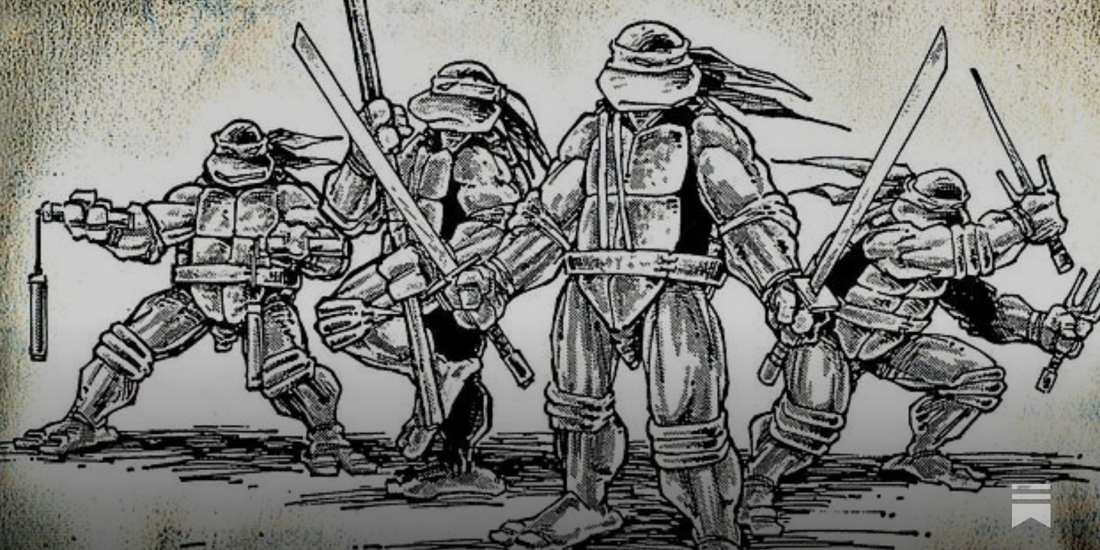 Men's Teenage Mutant Ninja Turtles … curated on LTK