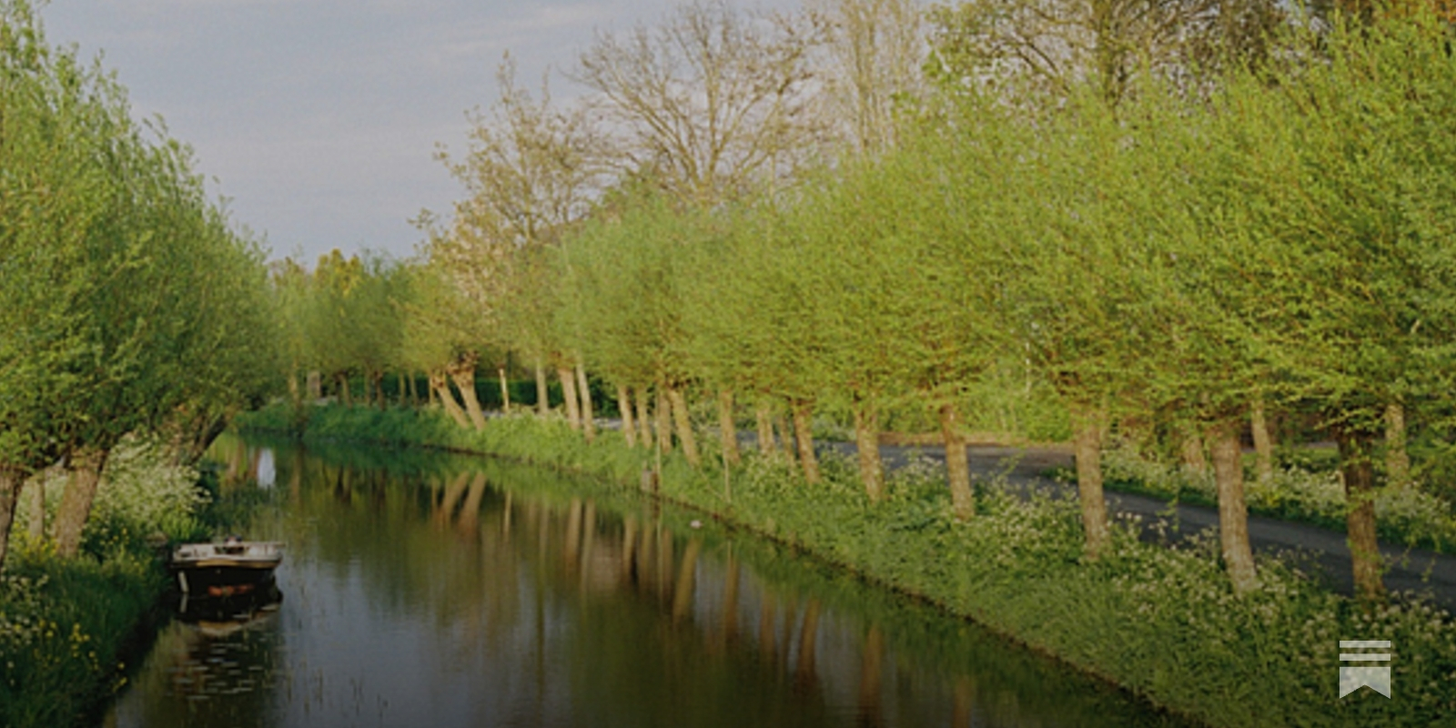 De wilg nader bekeken - by Henk Bovekerk - Stekjes