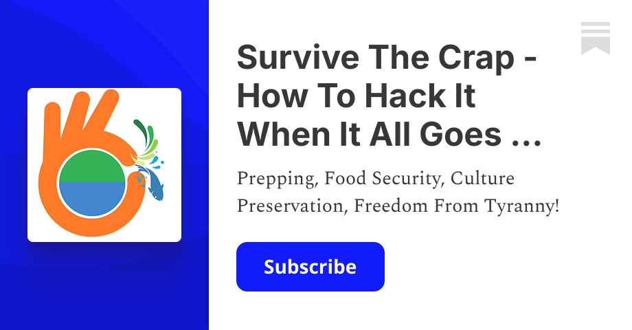 Survive The Crap - How To Hack It When It All Goes To Hell! | JovanHuttonPulitzer | Substack