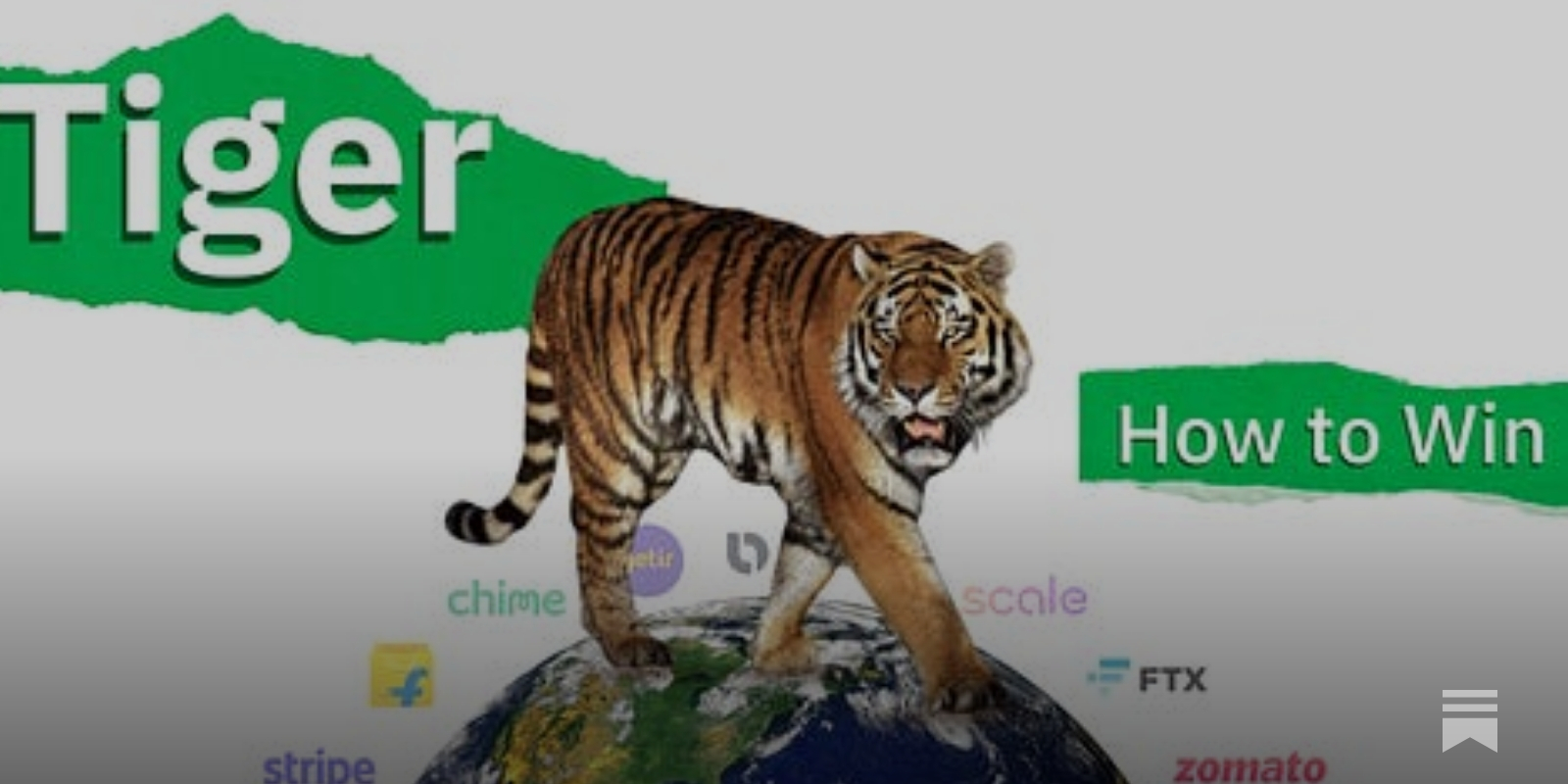 Founder Focus: Emerald x Tiger - BALANCE