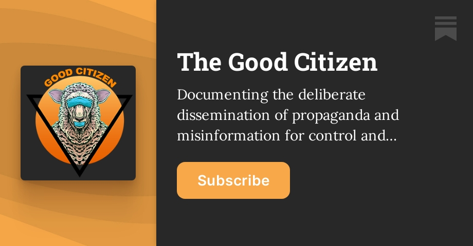 The Good Citizen | Substack