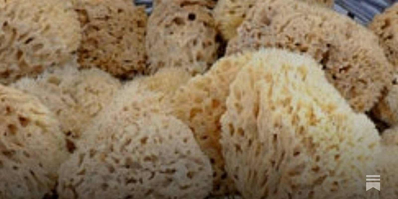 Natural Sea Sponges Are Not A Safe Alternative To Tampons, Science Pleads