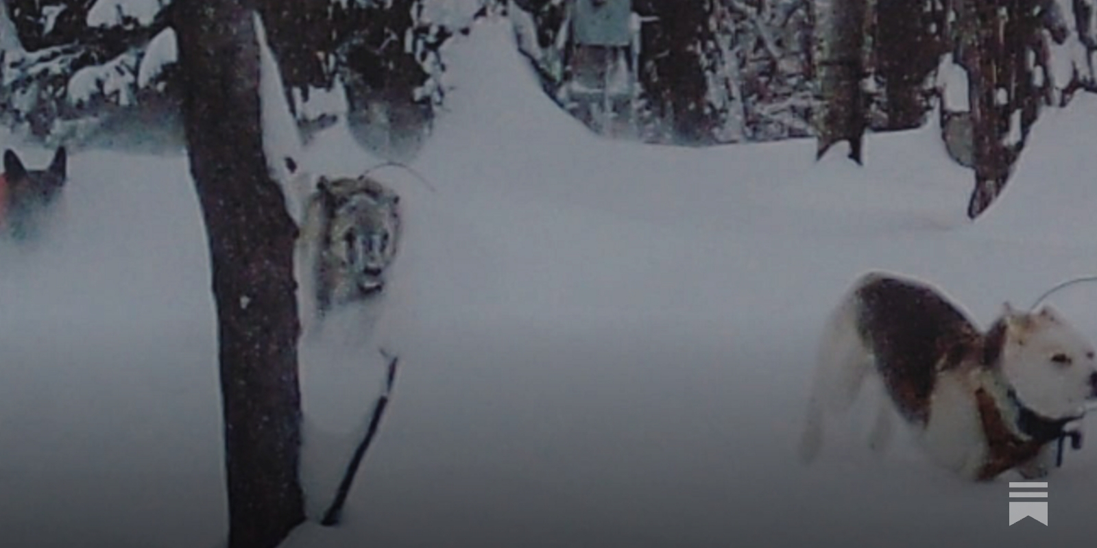 Can Cold Weather Trip a Circuit Breaker
