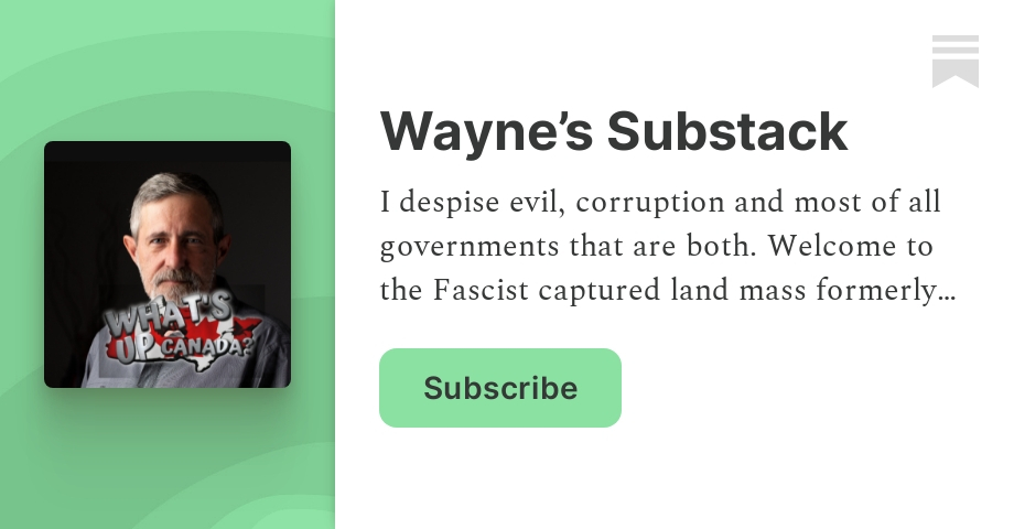 Wayne’s Substack | Substack