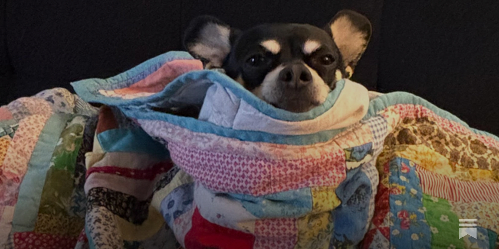 Get Out Your Bathrobe, It's Vinny The Chin's Birthday!