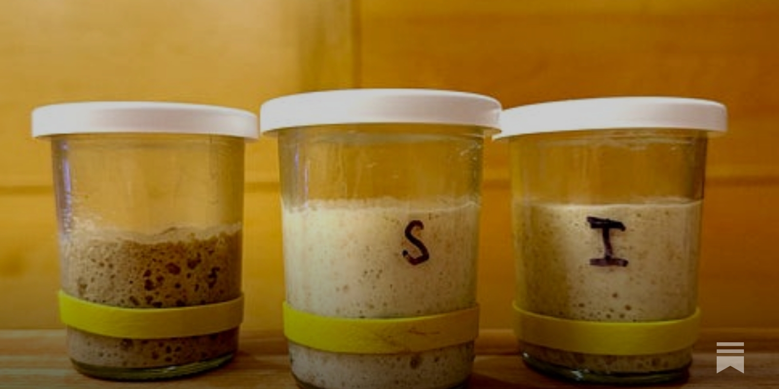 Continuous Sourdough Starter Maintenance Without Friction (or