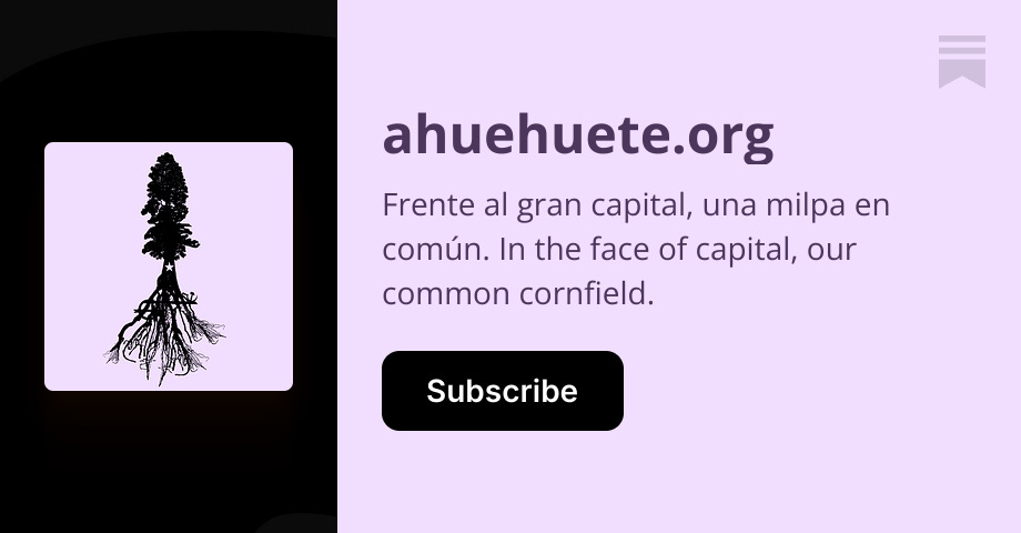 ahuehuete.org | taller ahuehuete | Substack