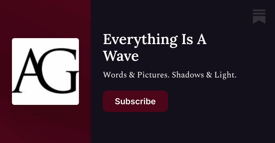 Amanda Gui Everything Is A Wave | Amanda Guinzburg | Substack