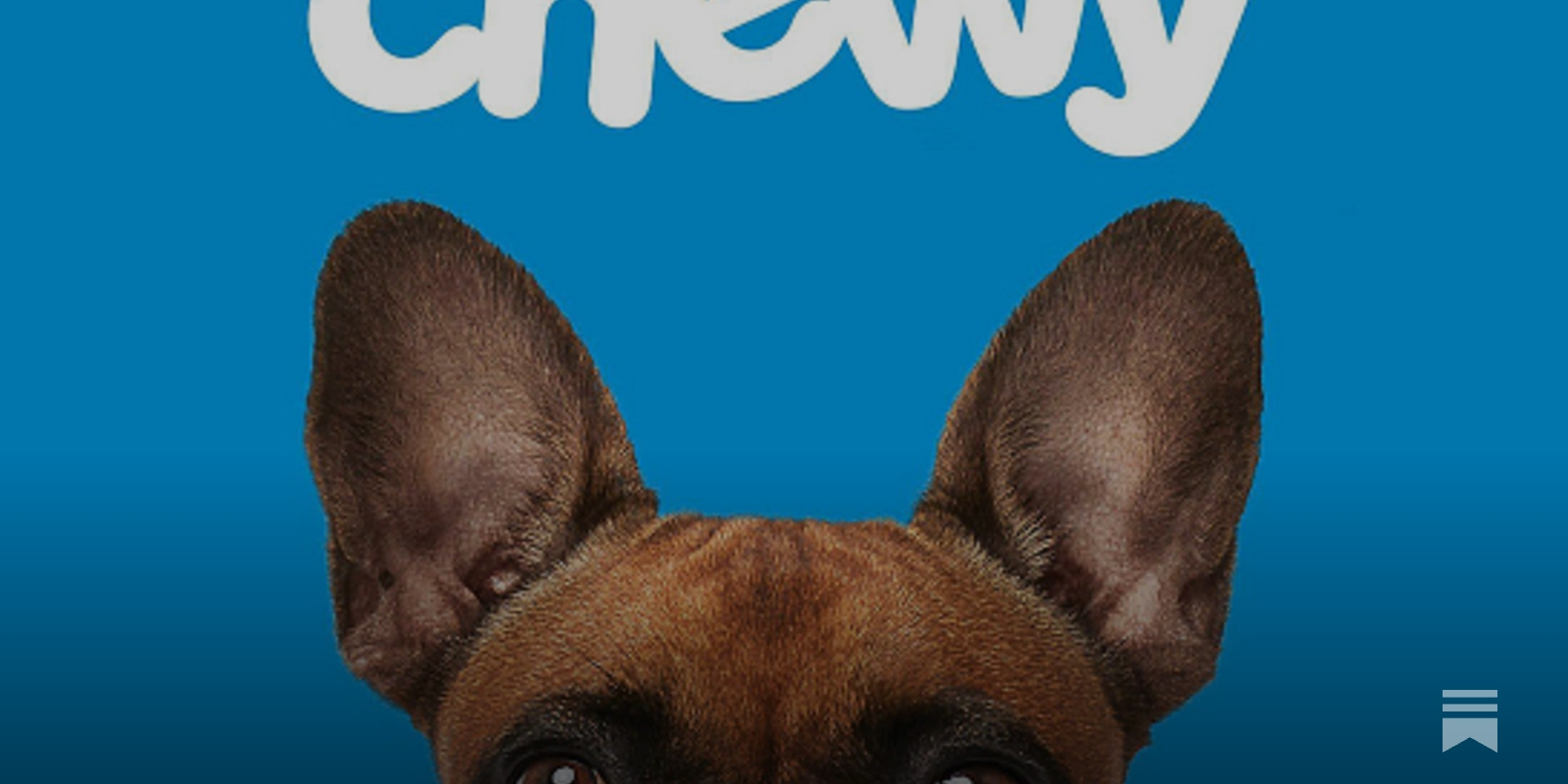 Chewy dog company best sale
