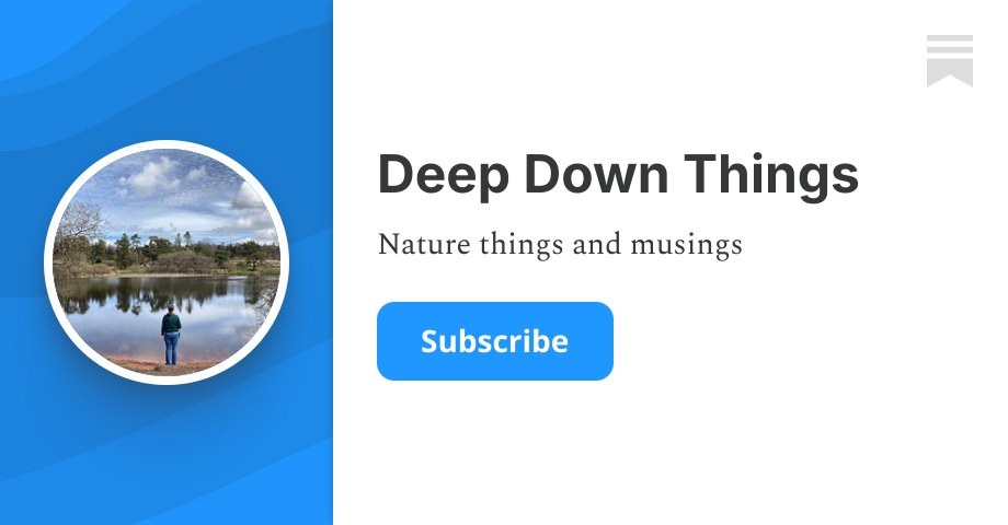 about-deep-down-things