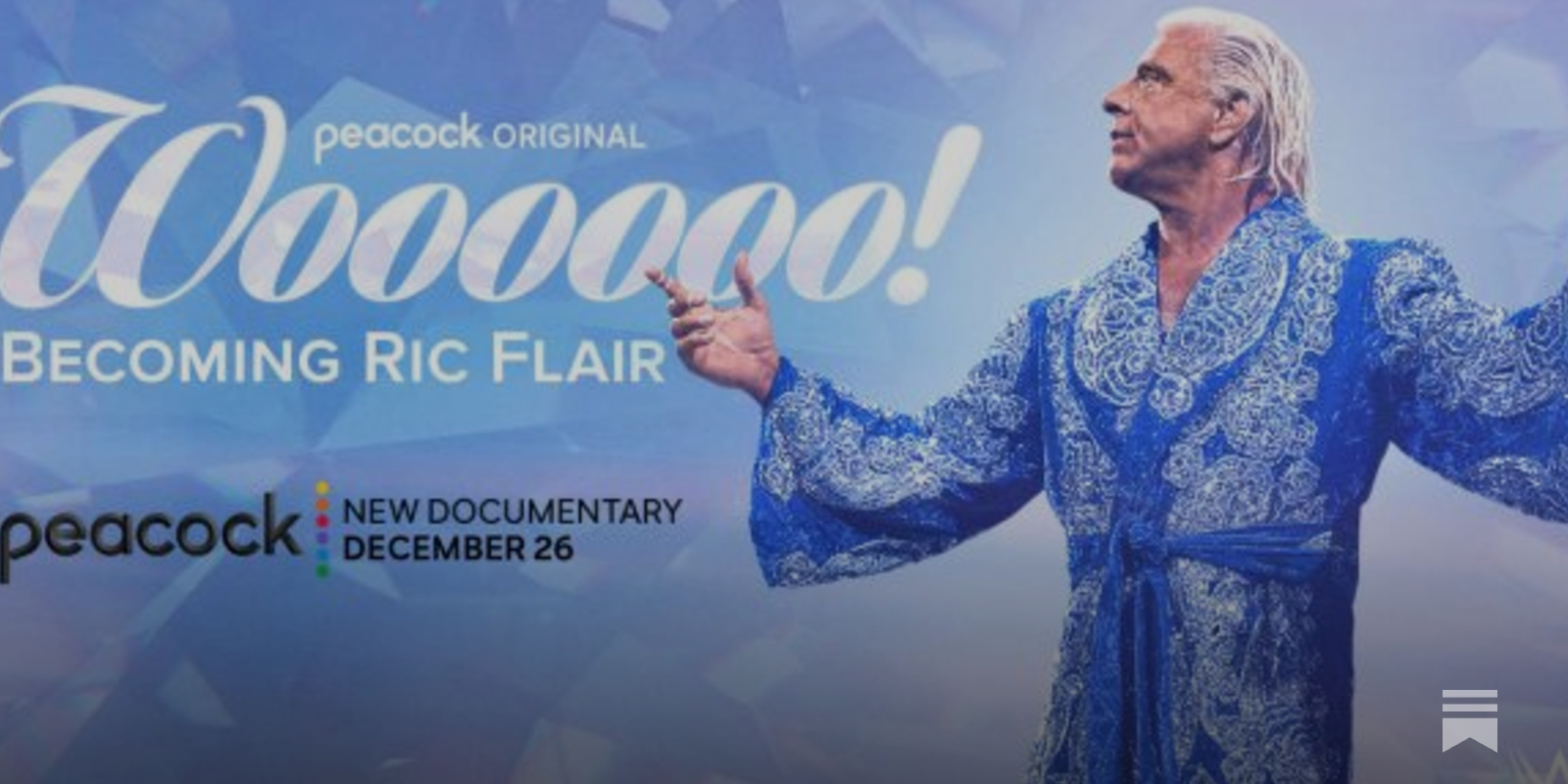 Ric flair documentary stream discount
