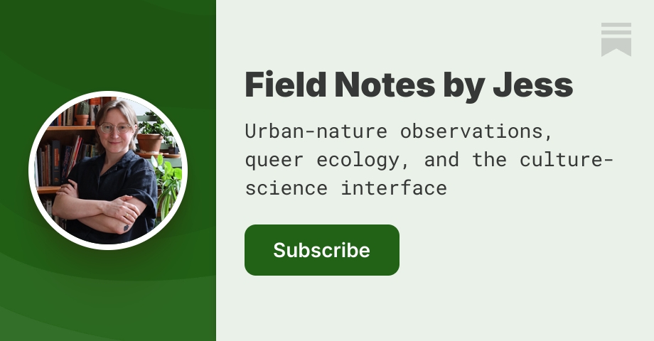 Field Notes by Jess | Jess Savage | Substack