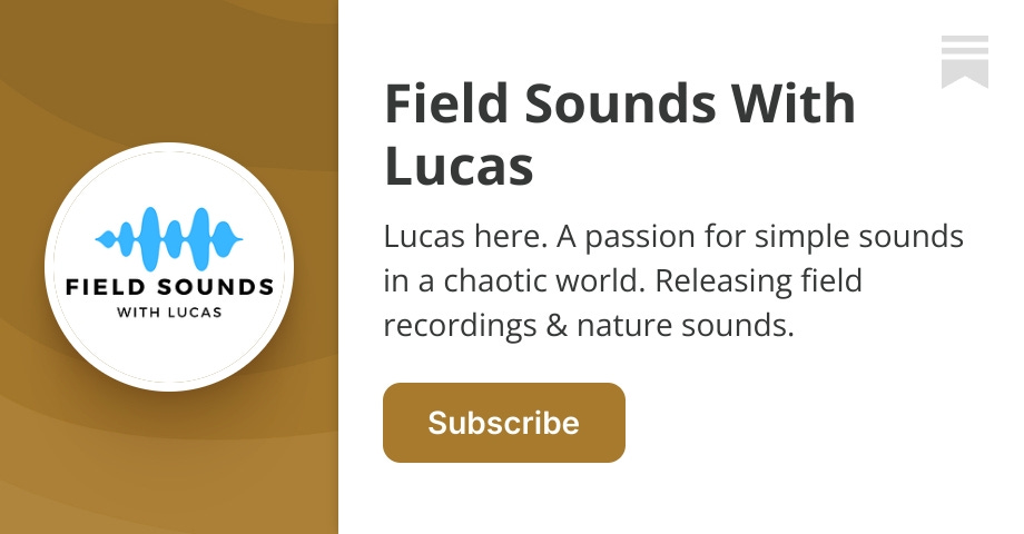 Crunchy Potato Chips & Wrapper Library