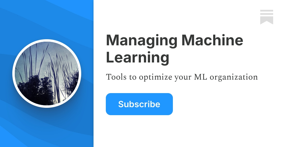 Managing Machine Learning | Elmo Scarleit | Substack
