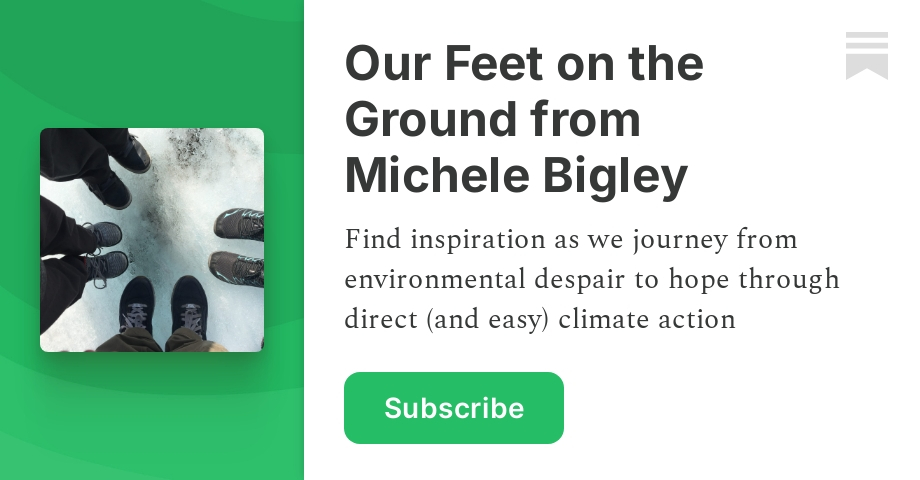 Our Feet on the Ground from Michele Bigley Substack