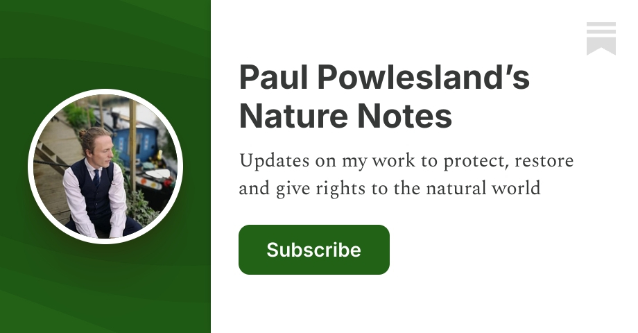 Paul Powlesland’s Nature Notes | Substack