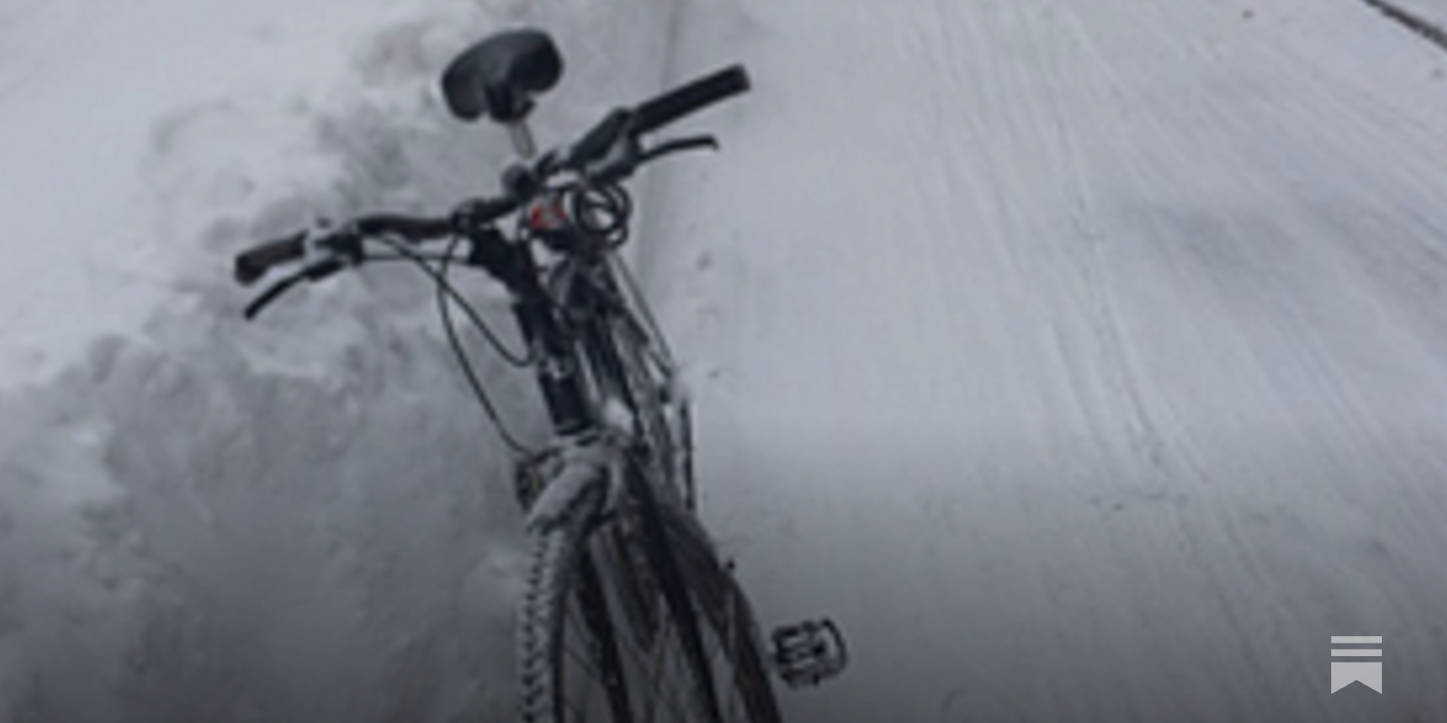 Straphanger cycle new arrivals