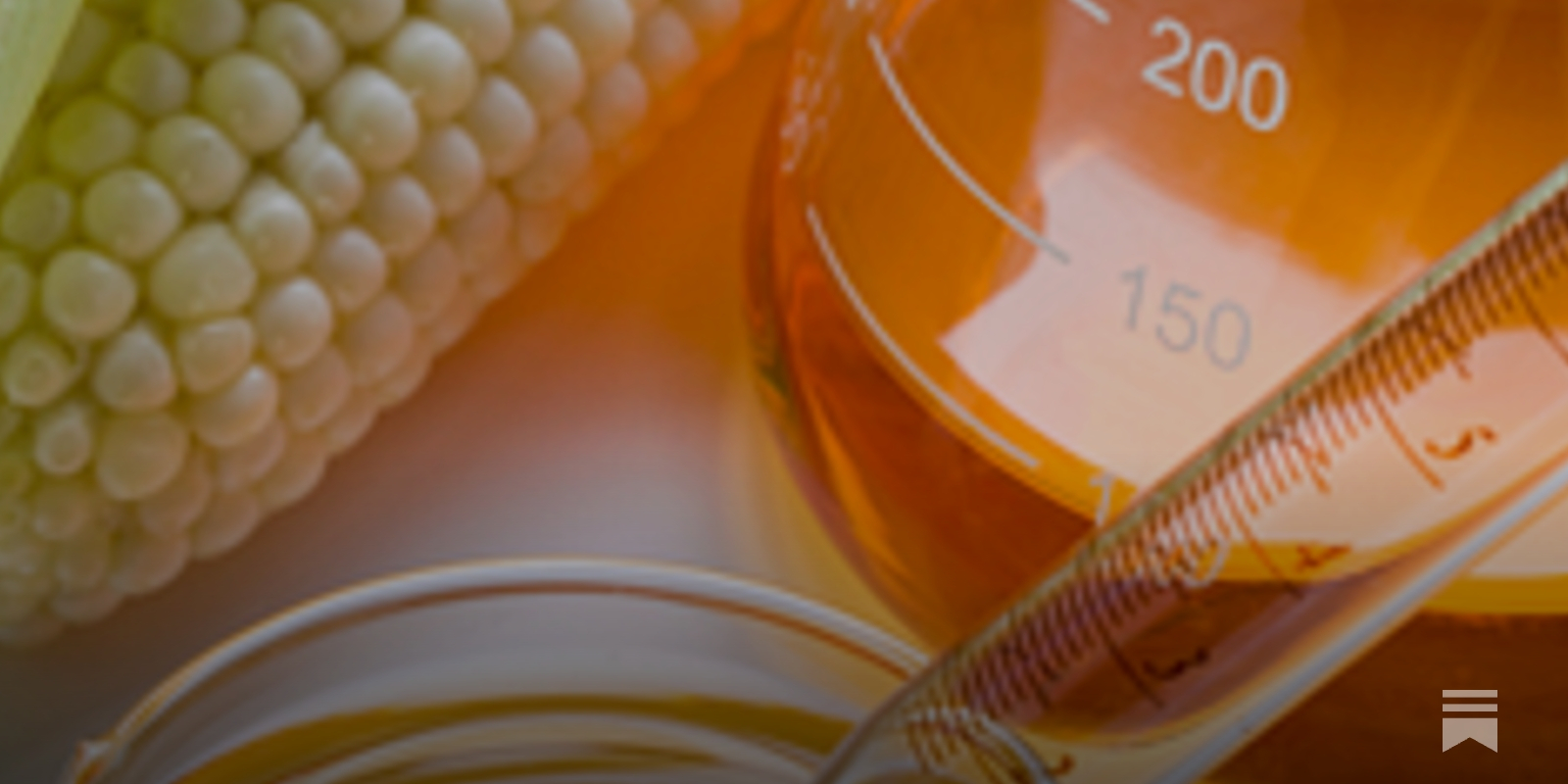 High Fructose Corn Syrup