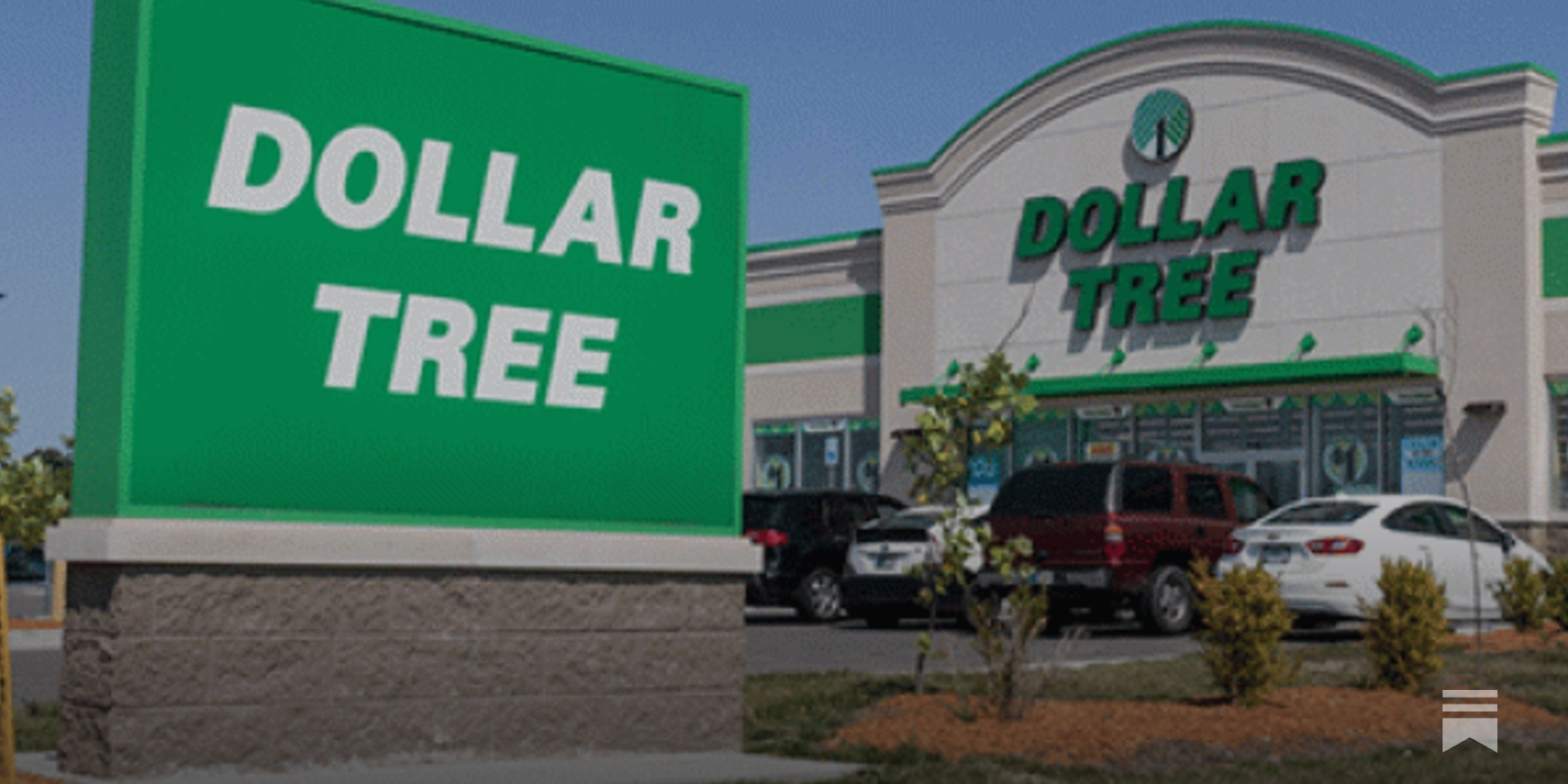 Dive rings dollar tree deals