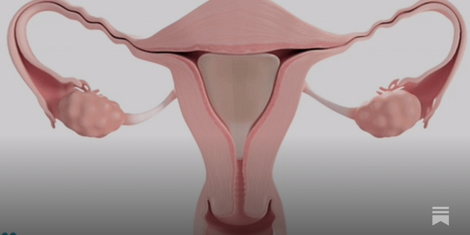 Womed’s fertility-preserving innovation set to roll out across 14 European countries