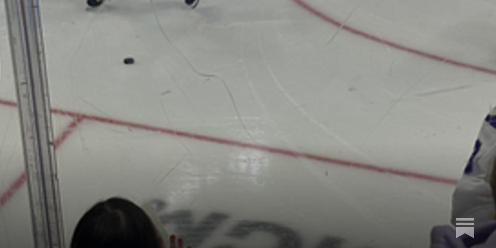 What the PWHL game in Detroit meant to my daughter and why representation matters