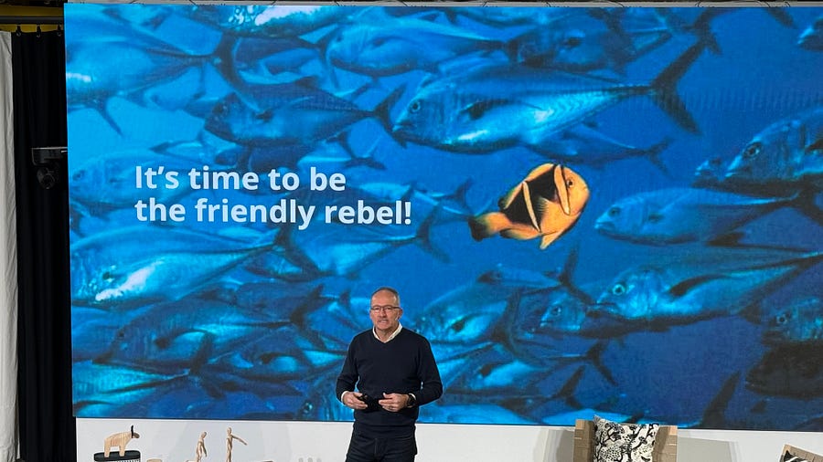 Cover image for the essay The Friendly Rebel.