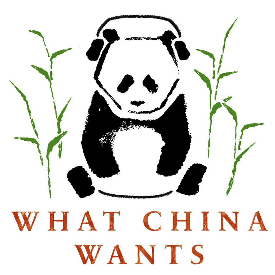 Artwork for What China Wants by Sam Olsen