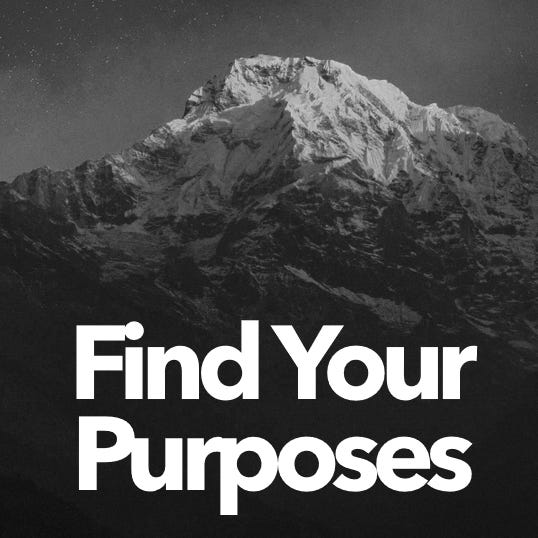 Find Your Purposes