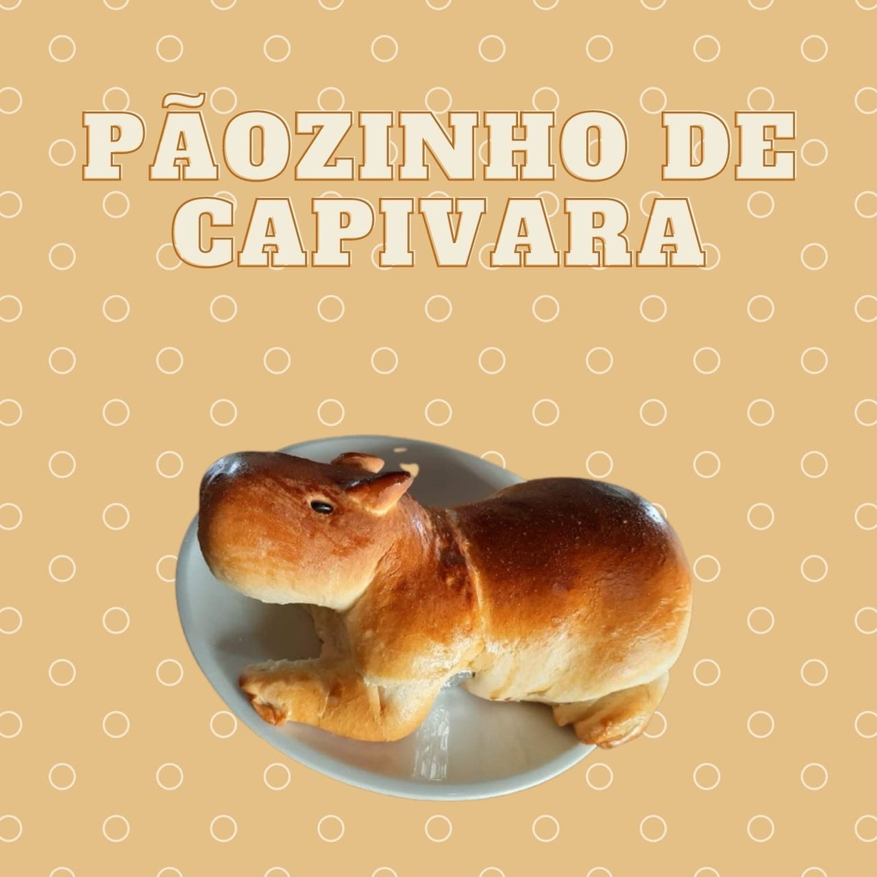 Artwork for Pãozinho de Capivara 
