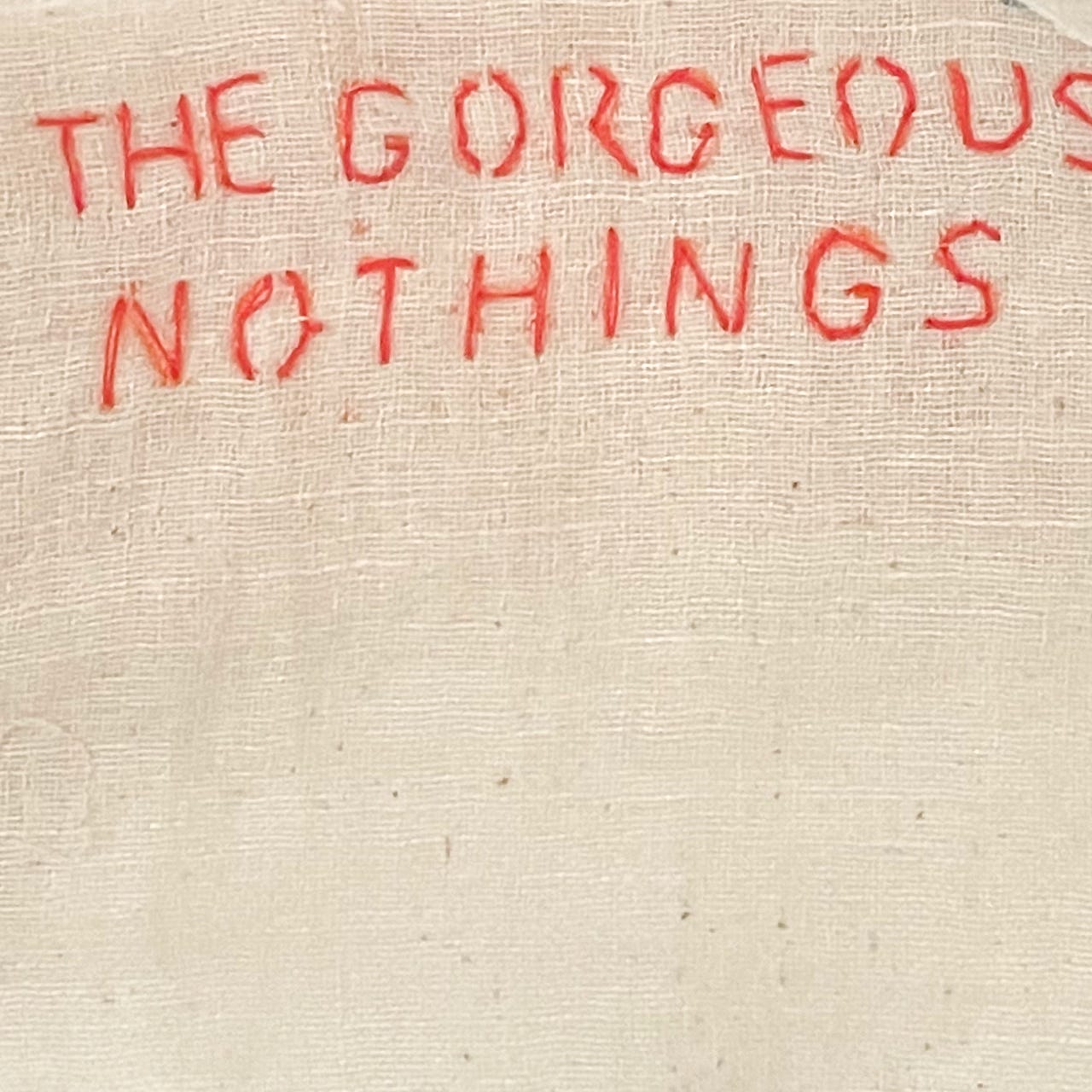 Artwork for The Gorgeous Nothings